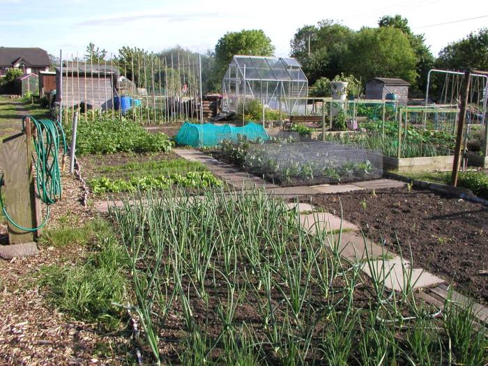 Gestalten schrebergarten