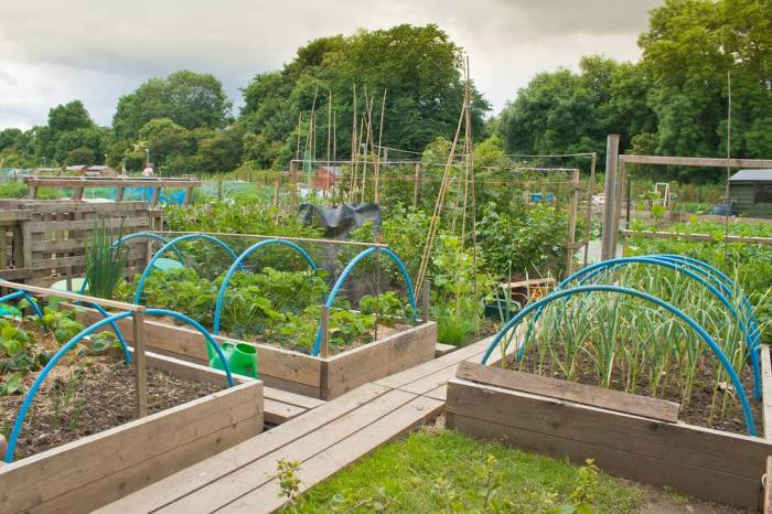 Gestalten schrebergarten