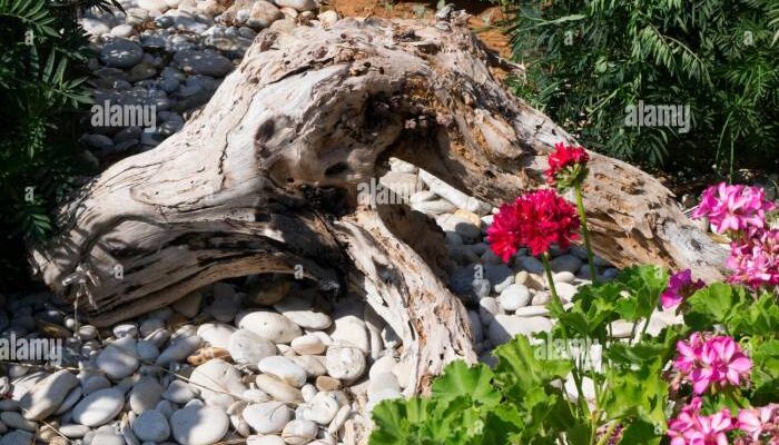 Treibholz Deko Garten Kreative Ideen für natürliche Gartendekoration