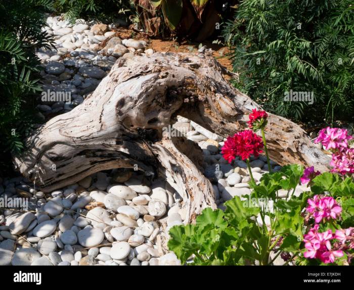 Treibholz deko garten